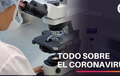 Todo sobre el coronavirus