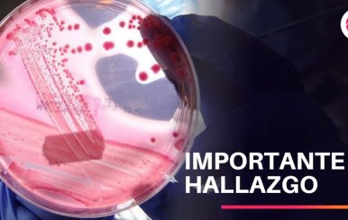 Importante hallazgo para combatir el coronavirus en Colombia