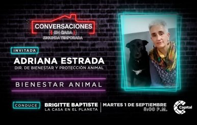 Conversaciones En Casa Adriana Estrada Protección animal