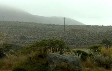 Sumapaz