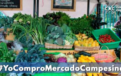 Visite los Mercados Campesinos durante el mes de diciembre