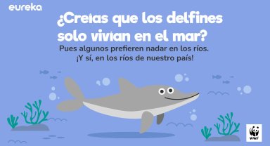 Delfines de río en Colombia Delfines de río  en Colombia