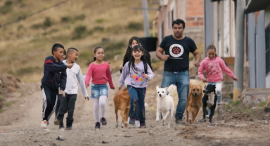 Fundación Amigos de 4 Patas