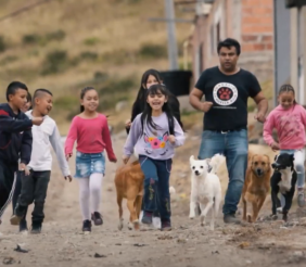 Fundación Amigos de 4 Patas